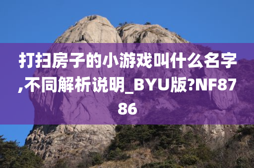 打扫房子的小游戏叫什么名字,不同解析说明_BYU版?NF8786