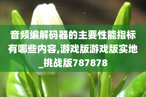 音频编解码器的主要性能指标有哪些内容,游戏版游戏版实地_挑战版787878