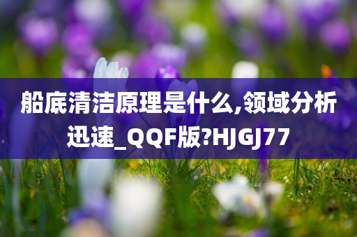 船底清洁原理是什么,领域分析迅速_QQF版?HJGJ77