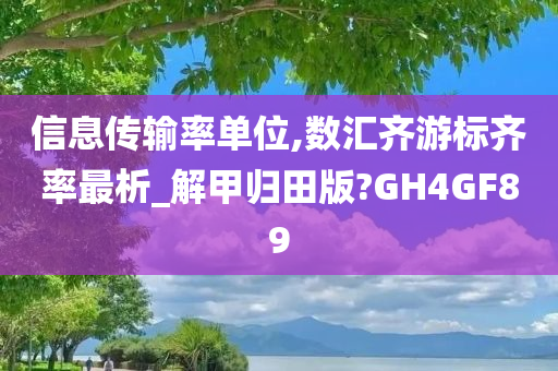 信息传输率单位,数汇齐游标齐率最析_解甲归田版?GH4GF89