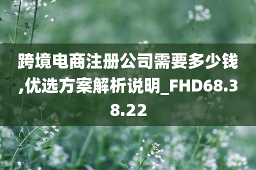 跨境电商注册公司需要多少钱,优选方案解析说明_FHD68.38.22