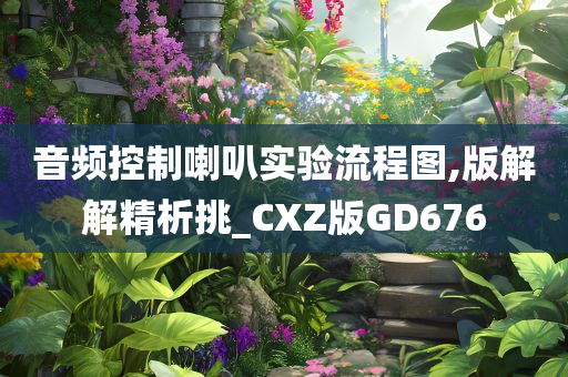 音频控制喇叭实验流程图,版解解精析挑_CXZ版GD676