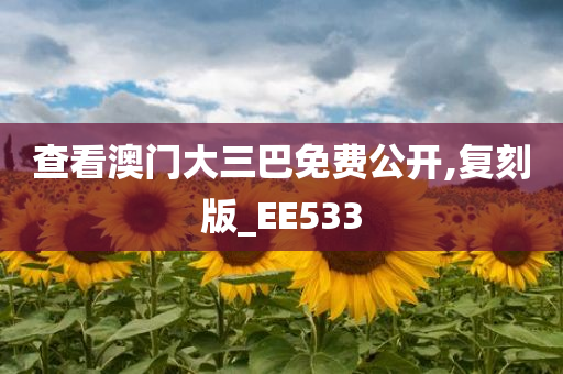 查看澳门大三巴免费公开,复刻版_EE533