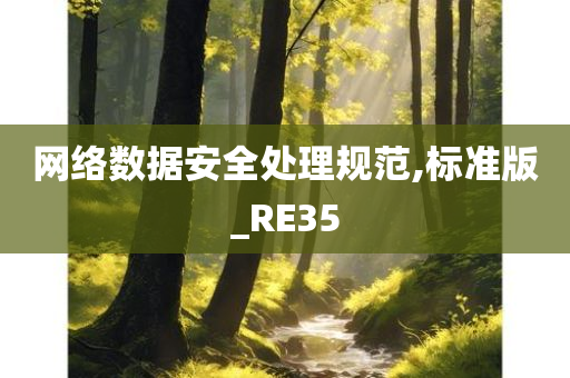 网络数据安全处理规范,标准版_RE35