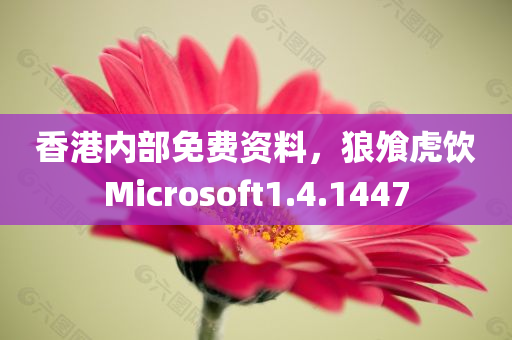 香港内部免费资料，狼飧虎饮Microsoft1.4.1447