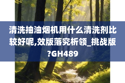 清洗抽油烟机用什么清洗剂比较好呢,效版落究析领_挑战版?GH489