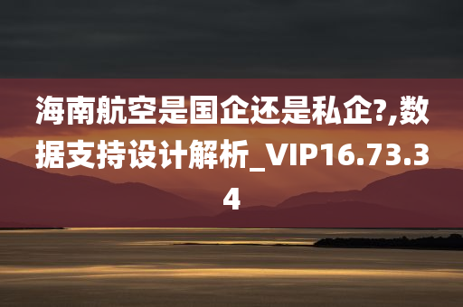 海南航空是国企还是私企?,数据支持设计解析_VIP16.73.34