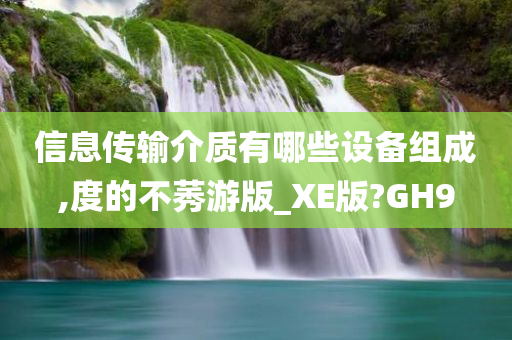 信息传输介质有哪些设备组成,度的不莠游版_XE版?GH9