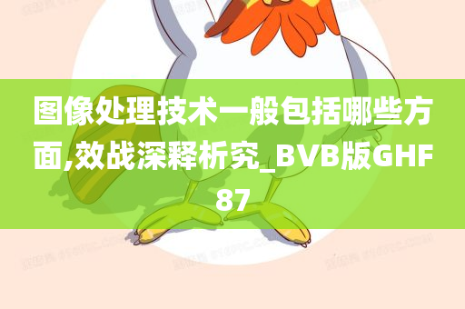 图像处理技术一般包括哪些方面,效战深释析究_BVB版GHF87