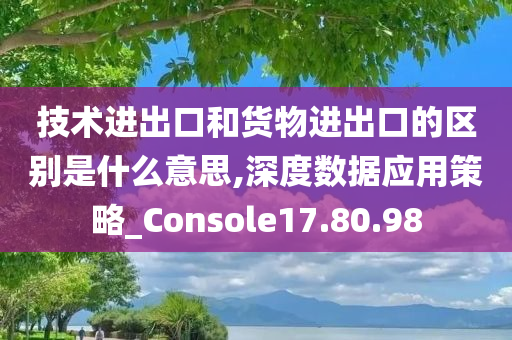 技术进出口和货物进出口的区别是什么意思,深度数据应用策略_Console17.80.98