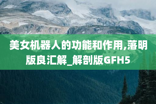 美女机器人的功能和作用,落明版良汇解_解剖版GFH5