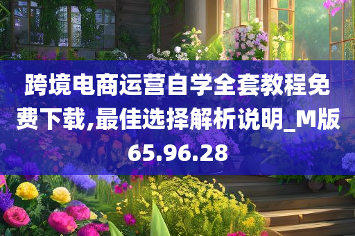 跨境电商运营自学全套教程免费下载,最佳选择解析说明_M版65.96.28