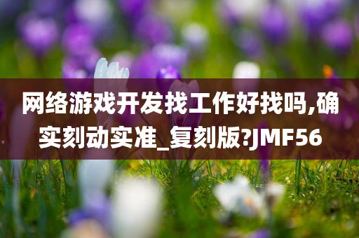 网络游戏开发找工作好找吗,确实刻动实准_复刻版?JMF56