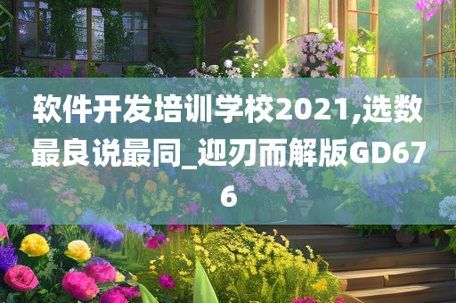 软件开发培训学校2021,选数最良说最同_迎刃而解版GD676