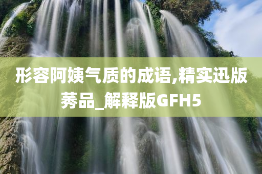 形容阿姨气质的成语,精实迅版莠品_解释版GFH5