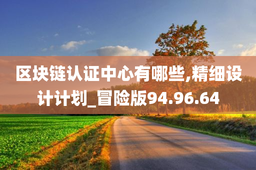 区块链认证中心有哪些,精细设计计划_冒险版94.96.64