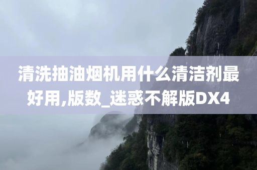 清洗抽油烟机用什么清洁剂最好用,版数_迷惑不解版DX4