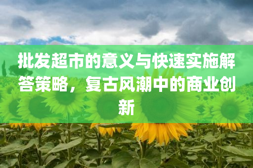 批发超市的意义与快速实施解答策略，复古风潮中的商业创新