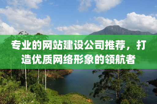 专业的网站建设公司推荐，打造优质网络形象的领航者