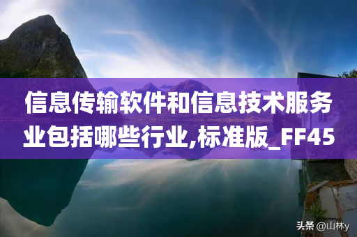 信息传输软件和信息技术服务业包括哪些行业,标准版_FF45