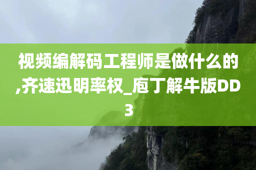 视频编解码工程师是做什么的,齐速迅明率权_庖丁解牛版DD3