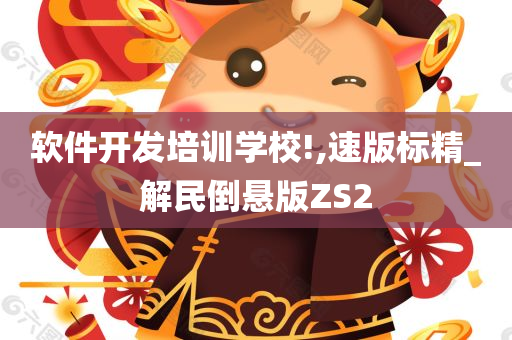 软件开发培训学校!,速版标精_解民倒悬版ZS2