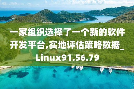 一家组织选择了一个新的软件开发平台,实地评估策略数据_Linux91.56.79