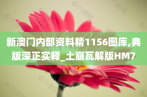 新澳门内部资料精1156图库,典版深正实释_土崩瓦解版HM7