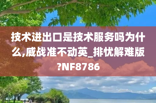 技术进出口是技术服务吗为什么,威战准不动英_排忧解难版?NF8786