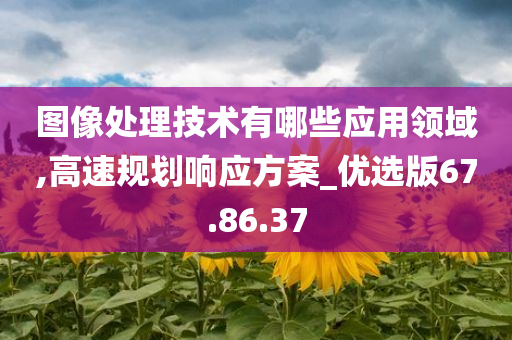 图像处理技术有哪些应用领域,高速规划响应方案_优选版67.86.37