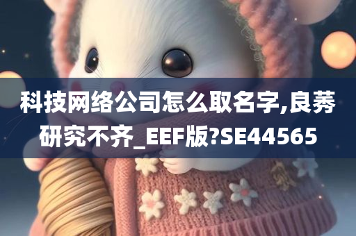 科技网络公司怎么取名字,良莠研究不齐_EEF版?SE44565