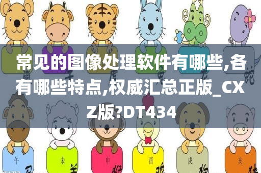 常见的图像处理软件有哪些,各有哪些特点,权威汇总正版_CXZ版?DT434