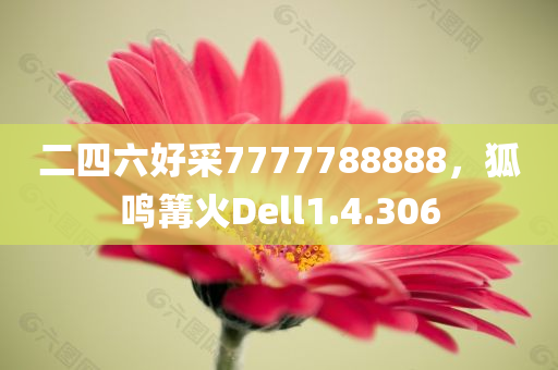 二四六好采7777788888，狐鸣篝火Dell1.4.306