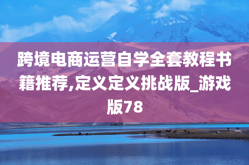 跨境电商运营自学全套教程书籍推荐,定义定义挑战版_游戏版78