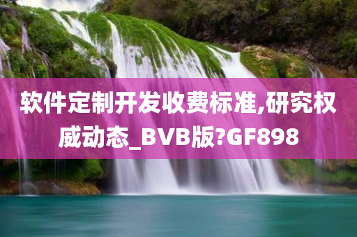 软件定制开发收费标准,研究权威动态_BVB版?GF898