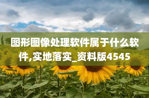 图形图像处理软件属于什么软件,实地落实_资料版4545