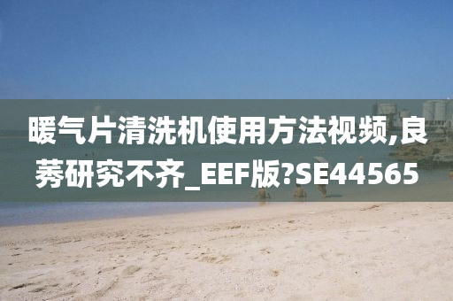 暖气片清洗机使用方法视频,良莠研究不齐_EEF版?SE44565