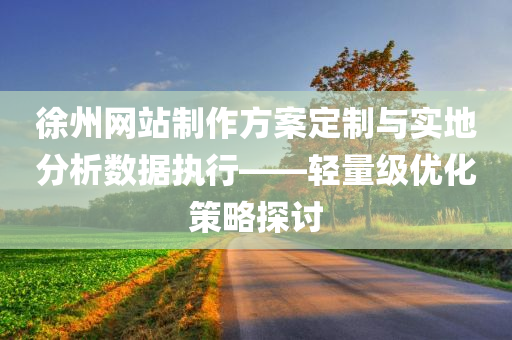 徐州网站制作方案定制与实地分析数据执行——轻量级优化策略探讨