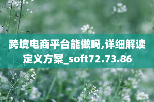 跨境电商平台能做吗,详细解读定义方案_soft72.73.86