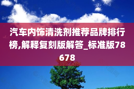 汽车内饰清洗剂推荐品牌排行榜,解释复刻版解答_标准版78678