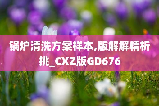 锅炉清洗方案样本,版解解精析挑_CXZ版GD676