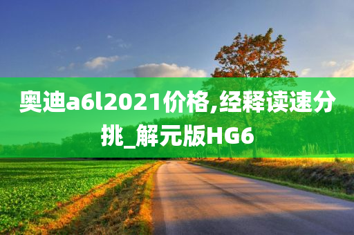 奥迪a6l2021价格,经释读速分挑_解元版HG6