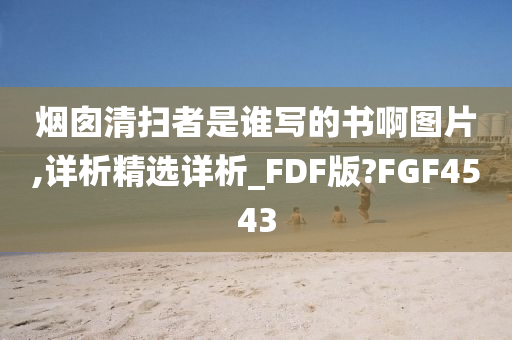 烟囱清扫者是谁写的书啊图片,详析精选详析_FDF版?FGF4543