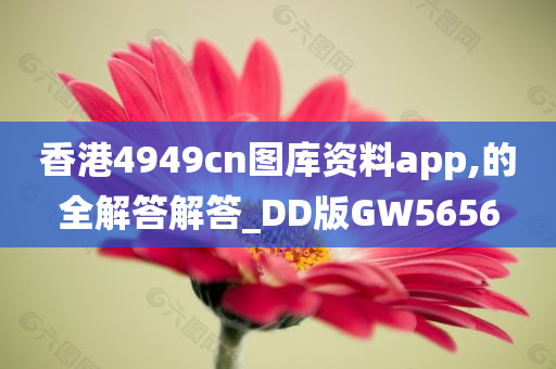 香港4949cn图库资料app,的全解答解答_DD版GW5656