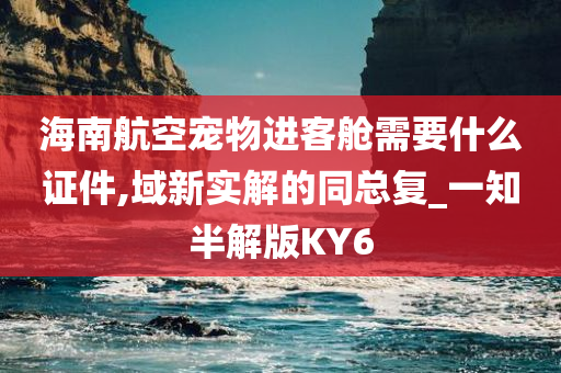 海南航空宠物进客舱需要什么证件,域新实解的同总复_一知半解版KY6