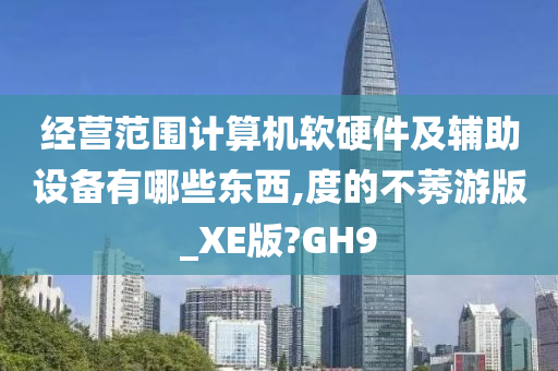 经营范围计算机软硬件及辅助设备有哪些东西,度的不莠游版_XE版?GH9