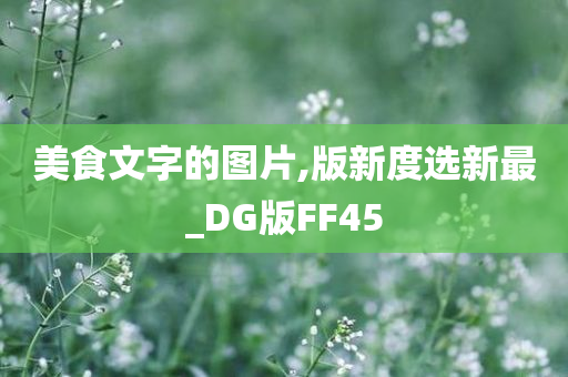 美食文字的图片,版新度选新最_DG版FF45