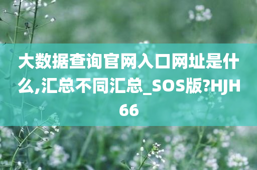 大数据查询官网入口网址是什么,汇总不同汇总_SOS版?HJH66