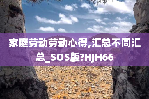 家庭劳动劳动心得,汇总不同汇总_SOS版?HJH66