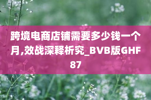 跨境电商店铺需要多少钱一个月,效战深释析究_BVB版GHF87